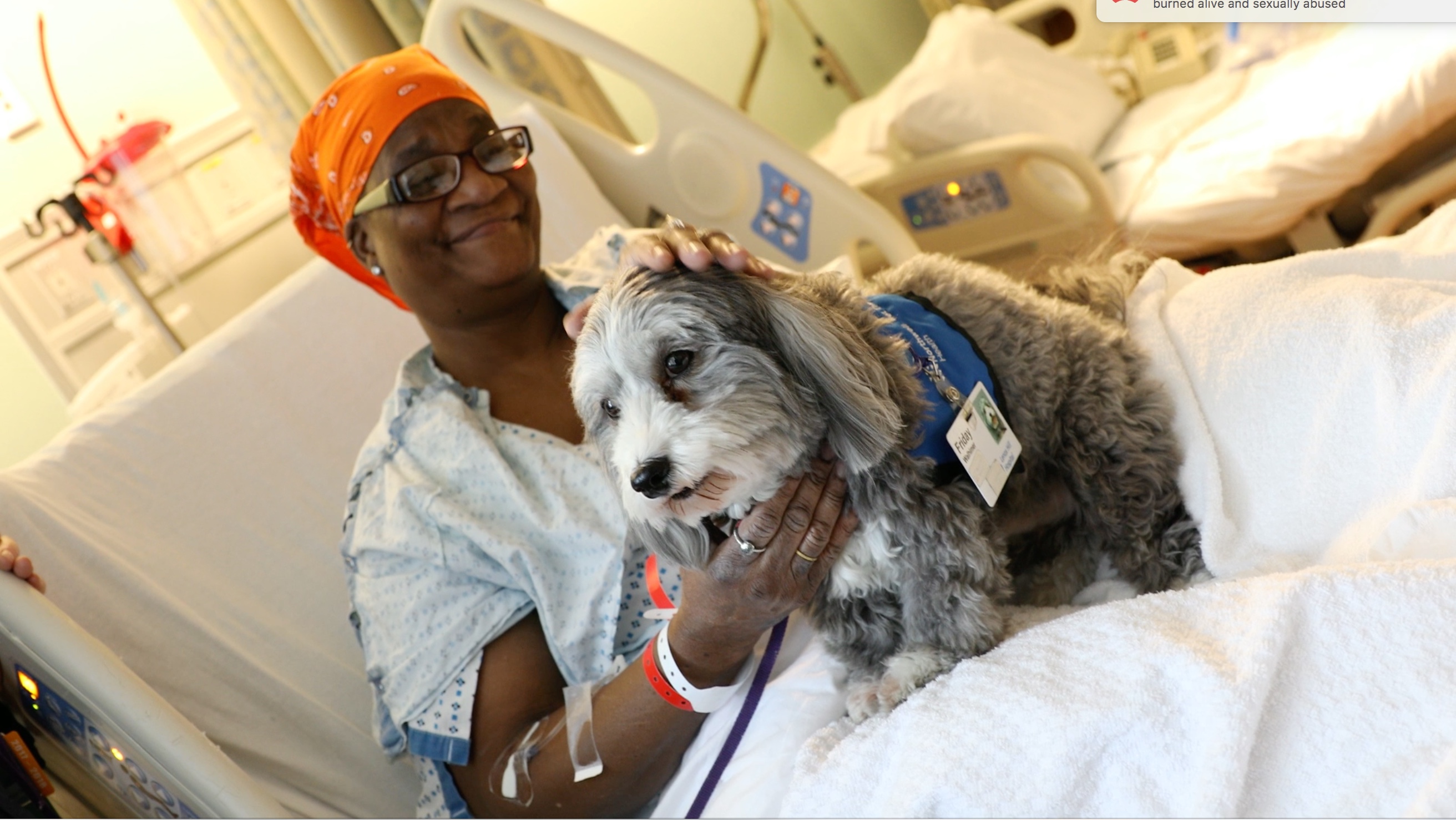 New York Therapy Animals | Excellence Through Education
